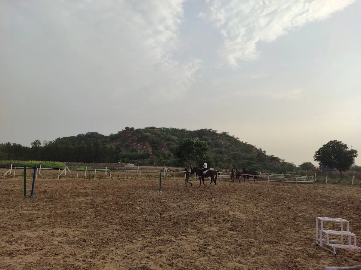 Aravali Horse Riding Club photo 3