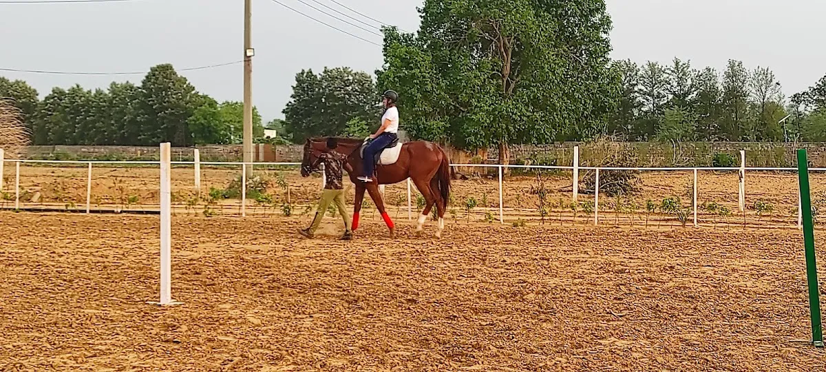 Aravali Horse Riding Club photo 5
