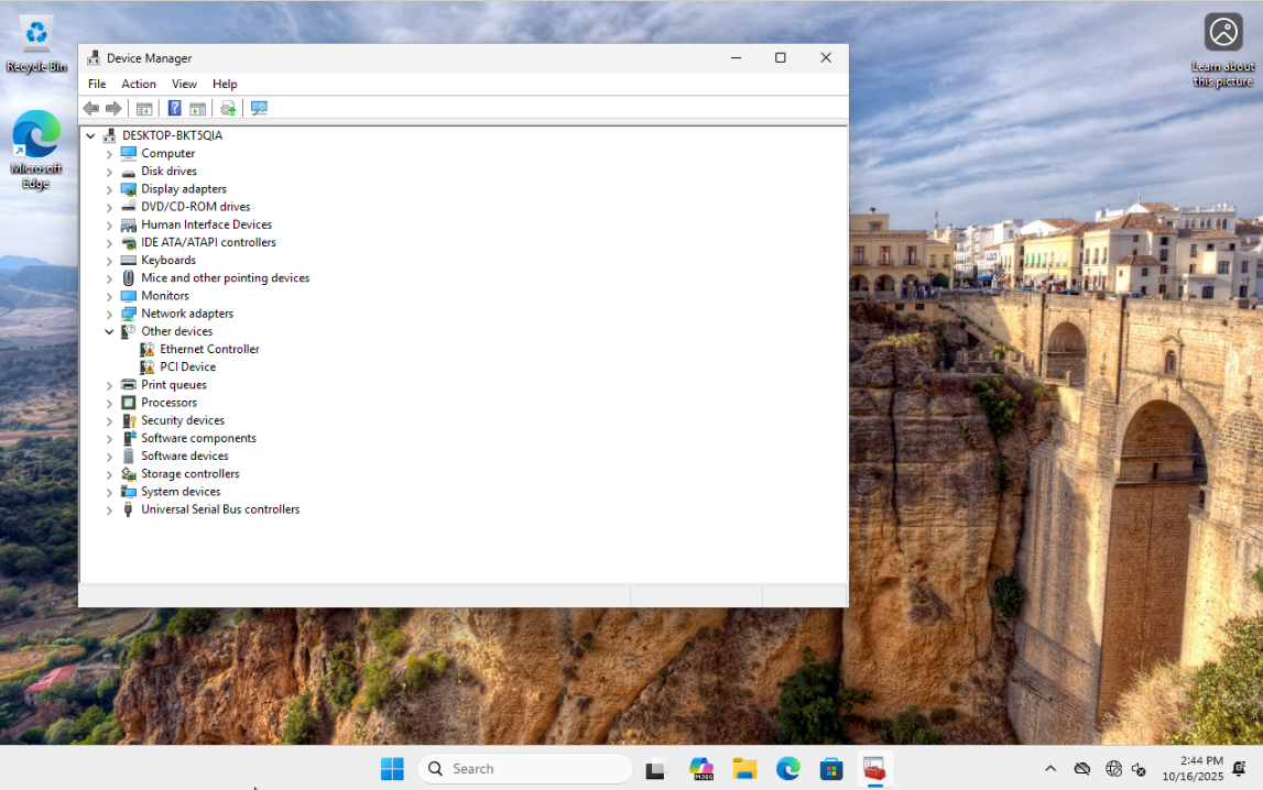 Windows 11 desktop with Device Manager open