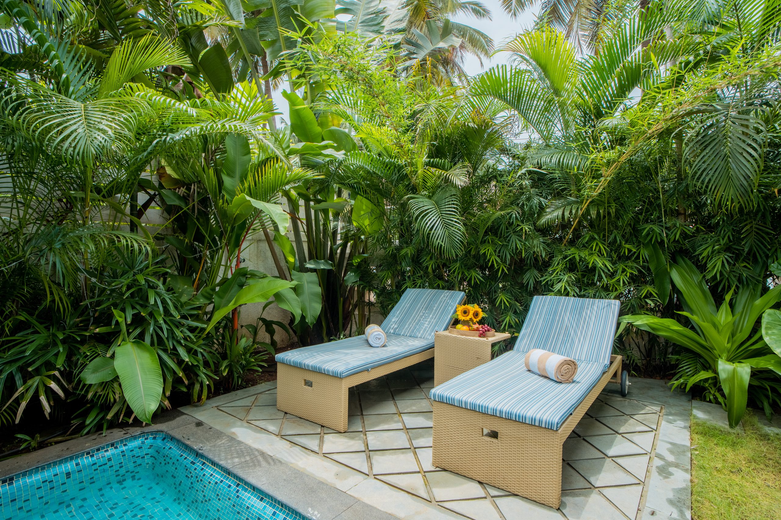 Private pool at Bauhinia villa rental South Goa