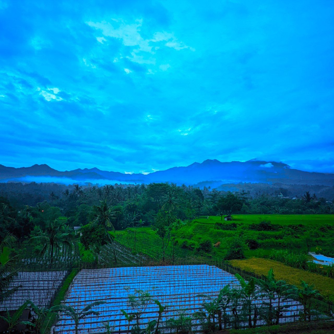 Kenapa Hidup Terasa Membosankan?