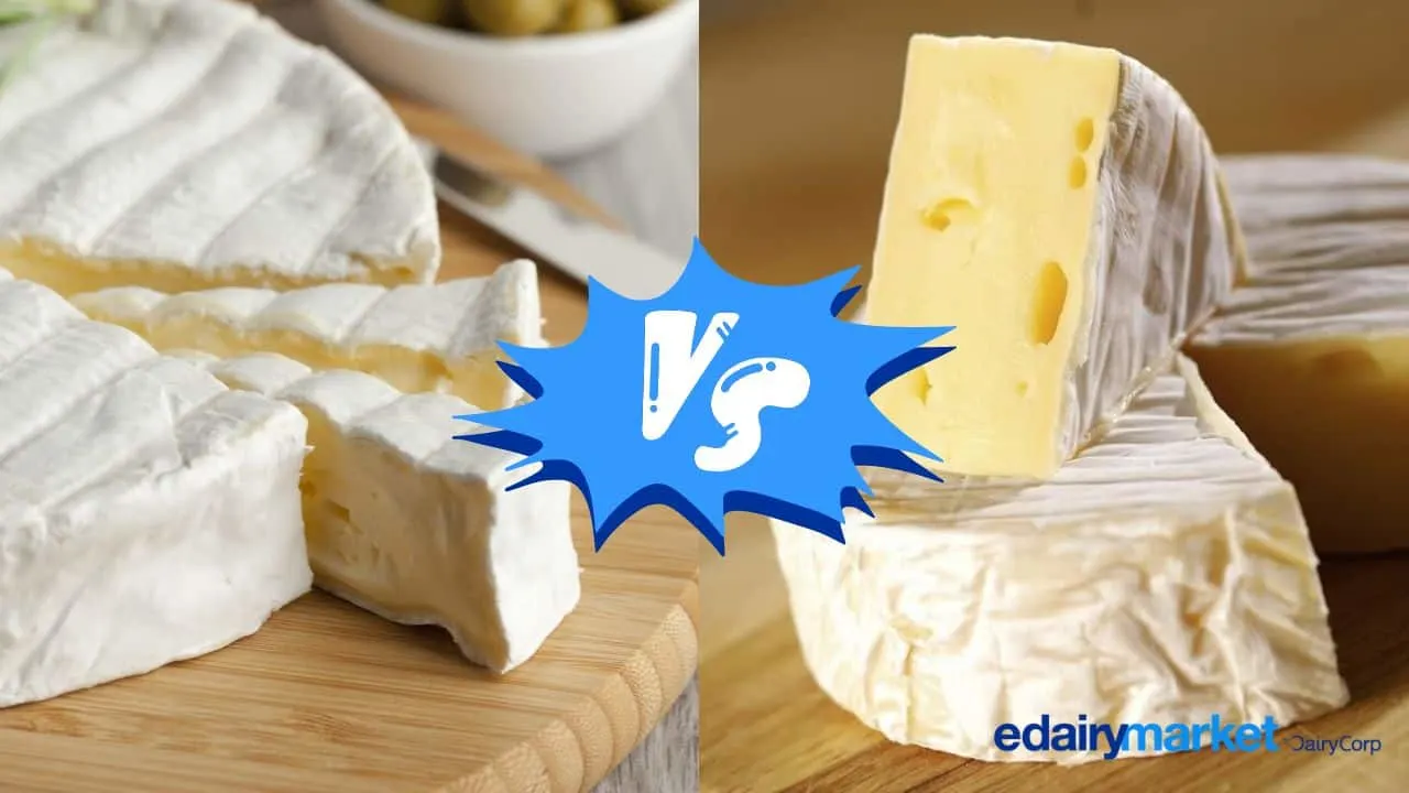 Brie vs. Camembert 7 Key Differences eDairy News English