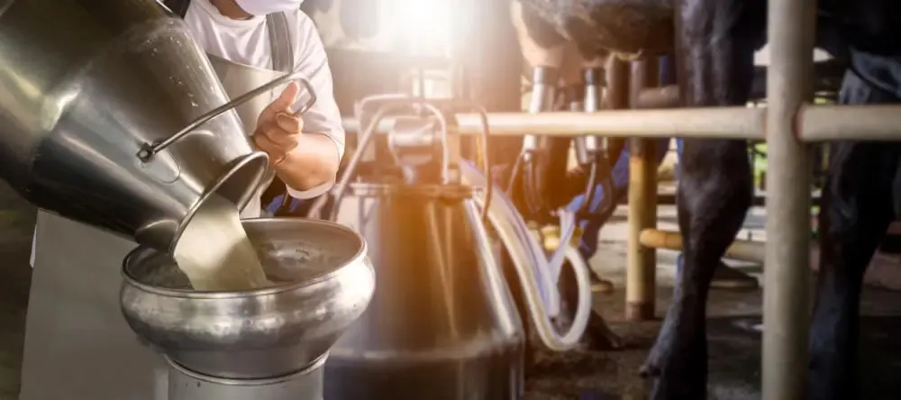 Esto hicieron los gigantes de la industria láctea en Colombia para mantener su negocio