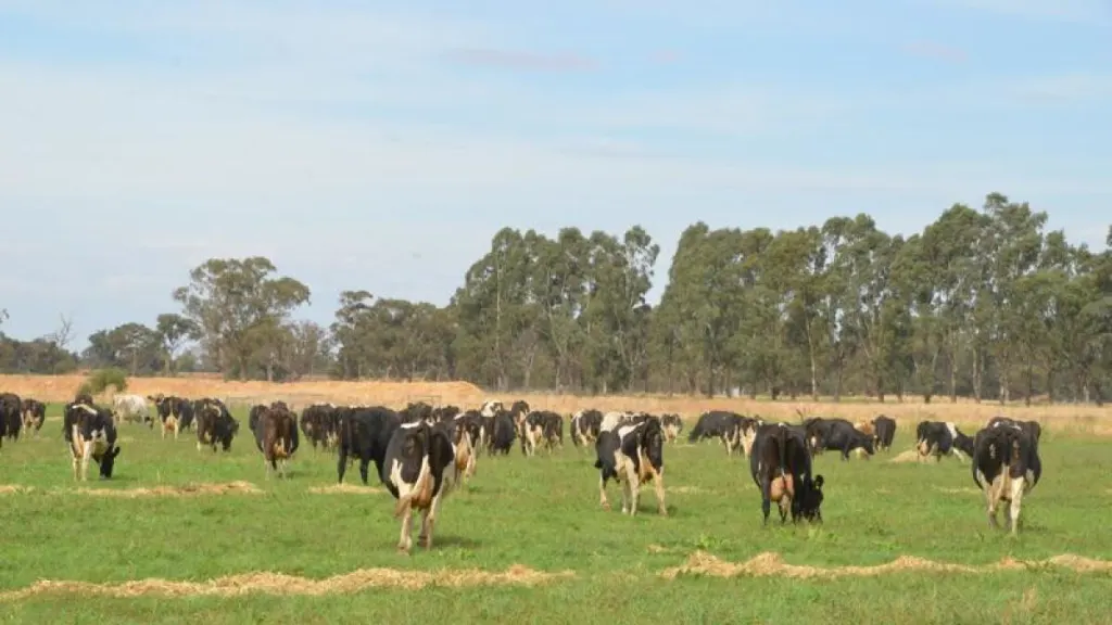 Dairy farmers meet in first-ever forum