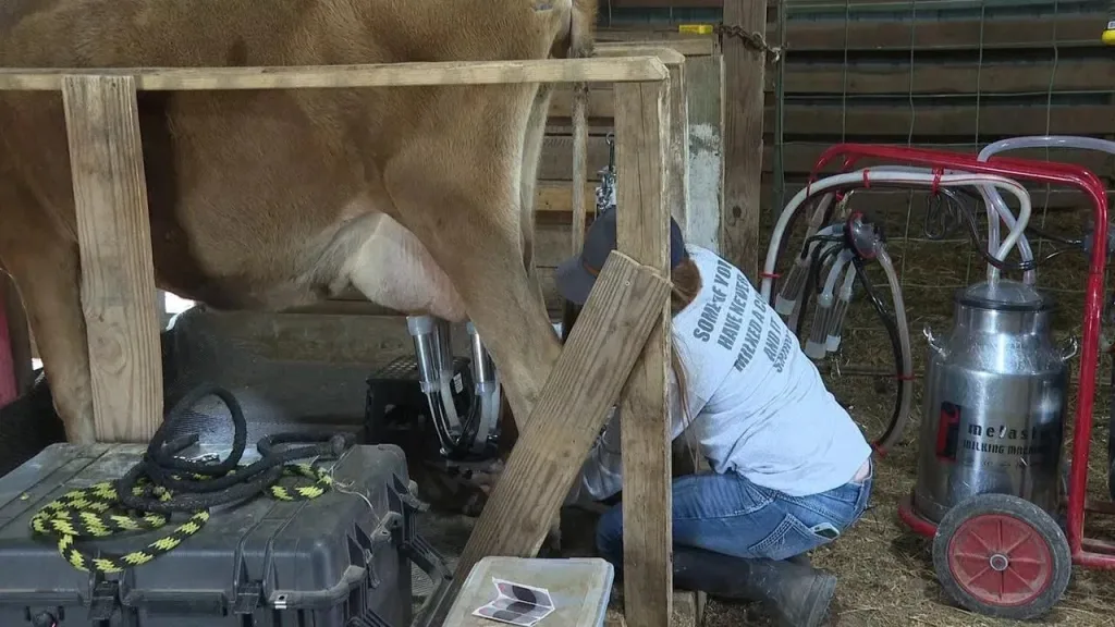 Decline of dairy farms in Alabama