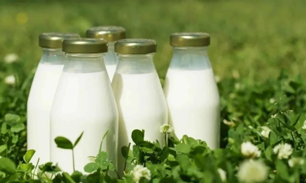 Deadline extended for organic dairy marketing assistance