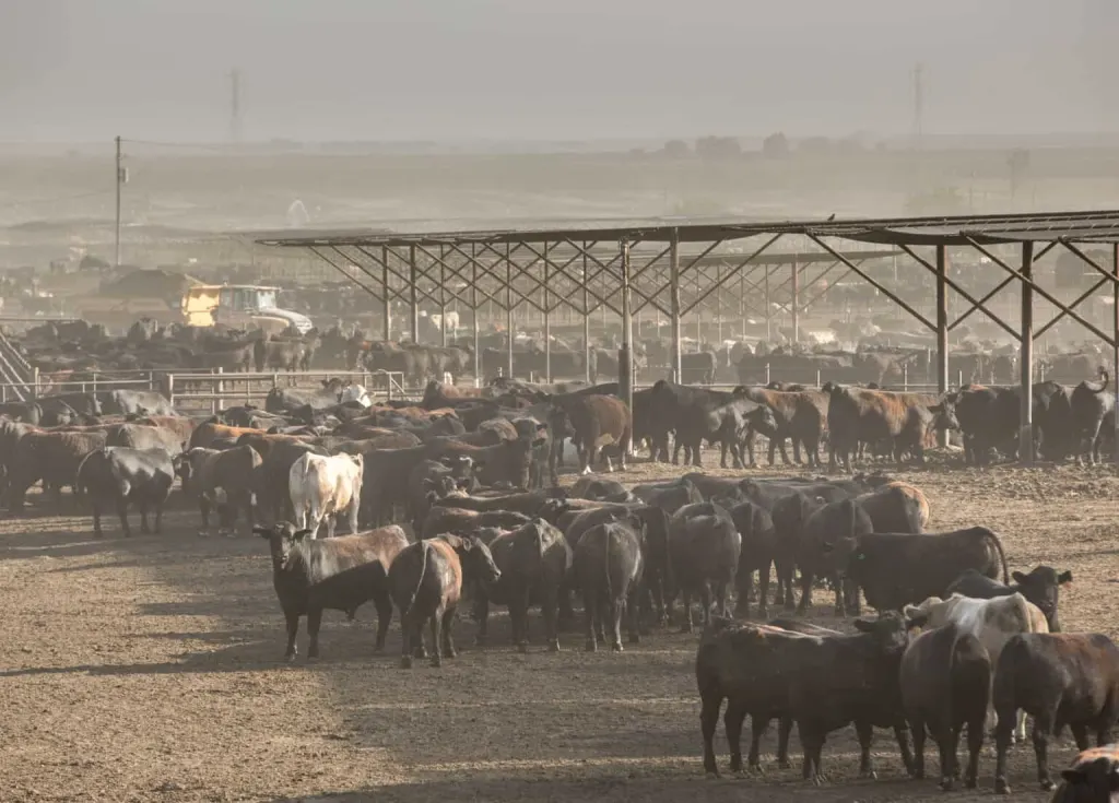 As the Number of American Farms and Farmers Declines, Agriculture Secretary Urges Climate Action to Reverse the Trend