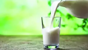 New milk shake Amul now eyes MP brand