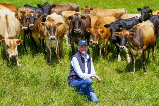 Dairy fund on track for 12pc return after buying Tassie farm