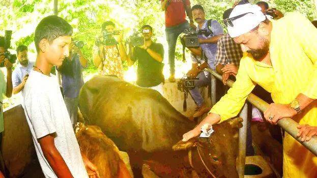 Raining rewards for young dairy farmer in Velliyamattom