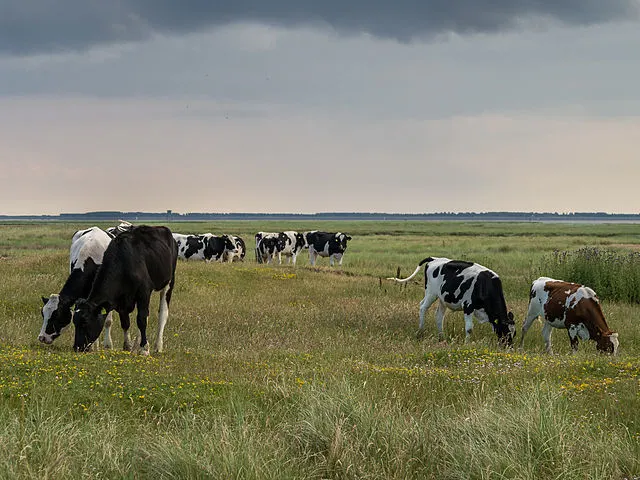 Rabobank Launches Farm Finance Workshops in Gippsland