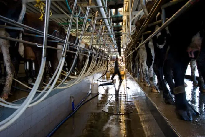 Government confirms improved quota system to support dairy exports