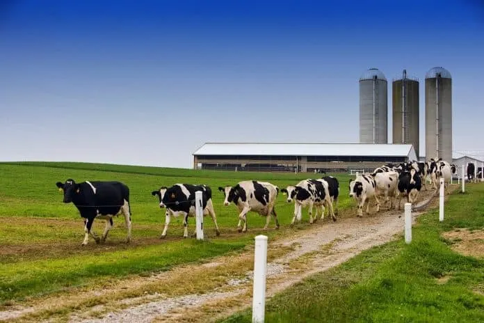 Pennsylvania dairy grant application period opens