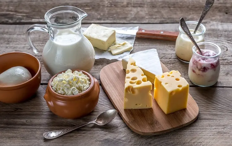 Bioprotection of dairy products