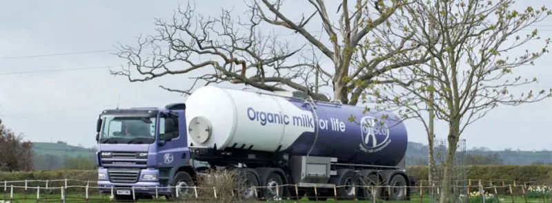 UK dairy co-op Omsco rebrands as Organic Herd