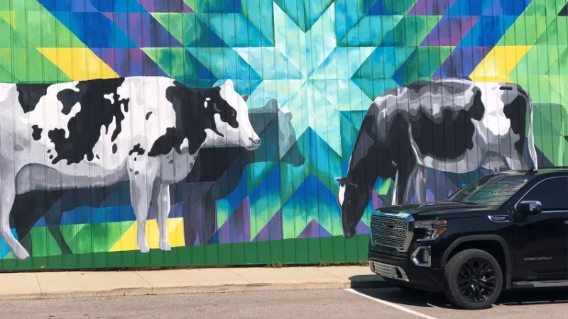 Dairy cows add zest to old brick building