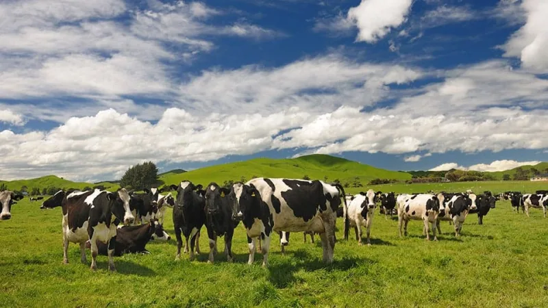 New partnership offers Fonterra farmers cheaper, cleaner refrigeration