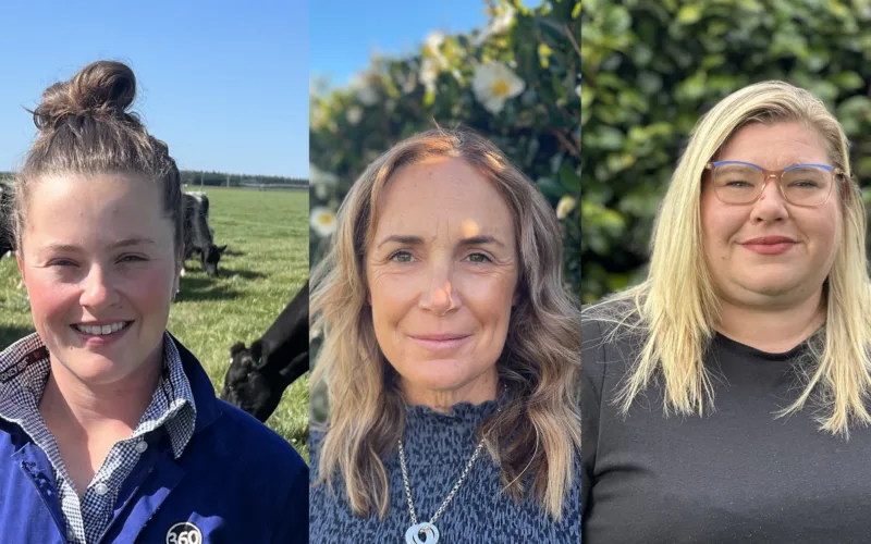 Dairy Women’s Network names regional leadership finalists