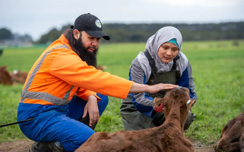 Dairy farmer cops huge fine for exploiting staff