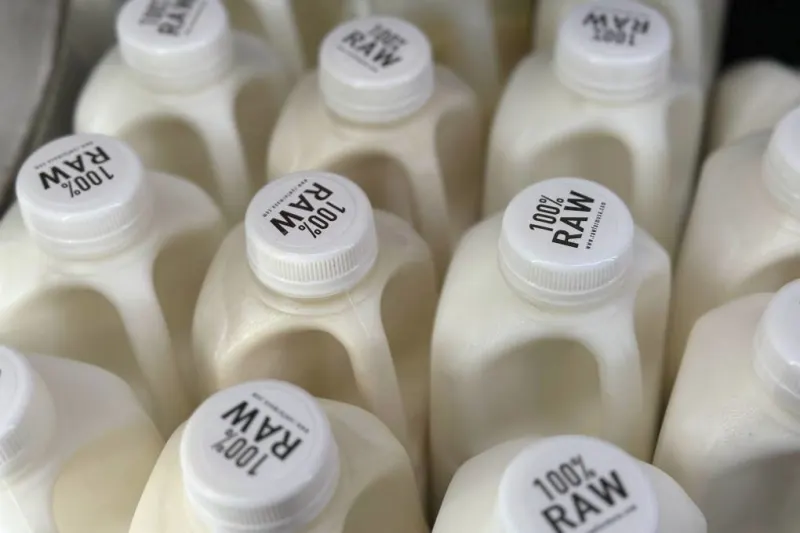 Bird Flu Hits US Dairy Cows. Raw Milk Drinkers Aren't Deterred