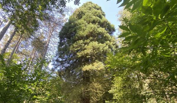 L’arboretum de Seraing