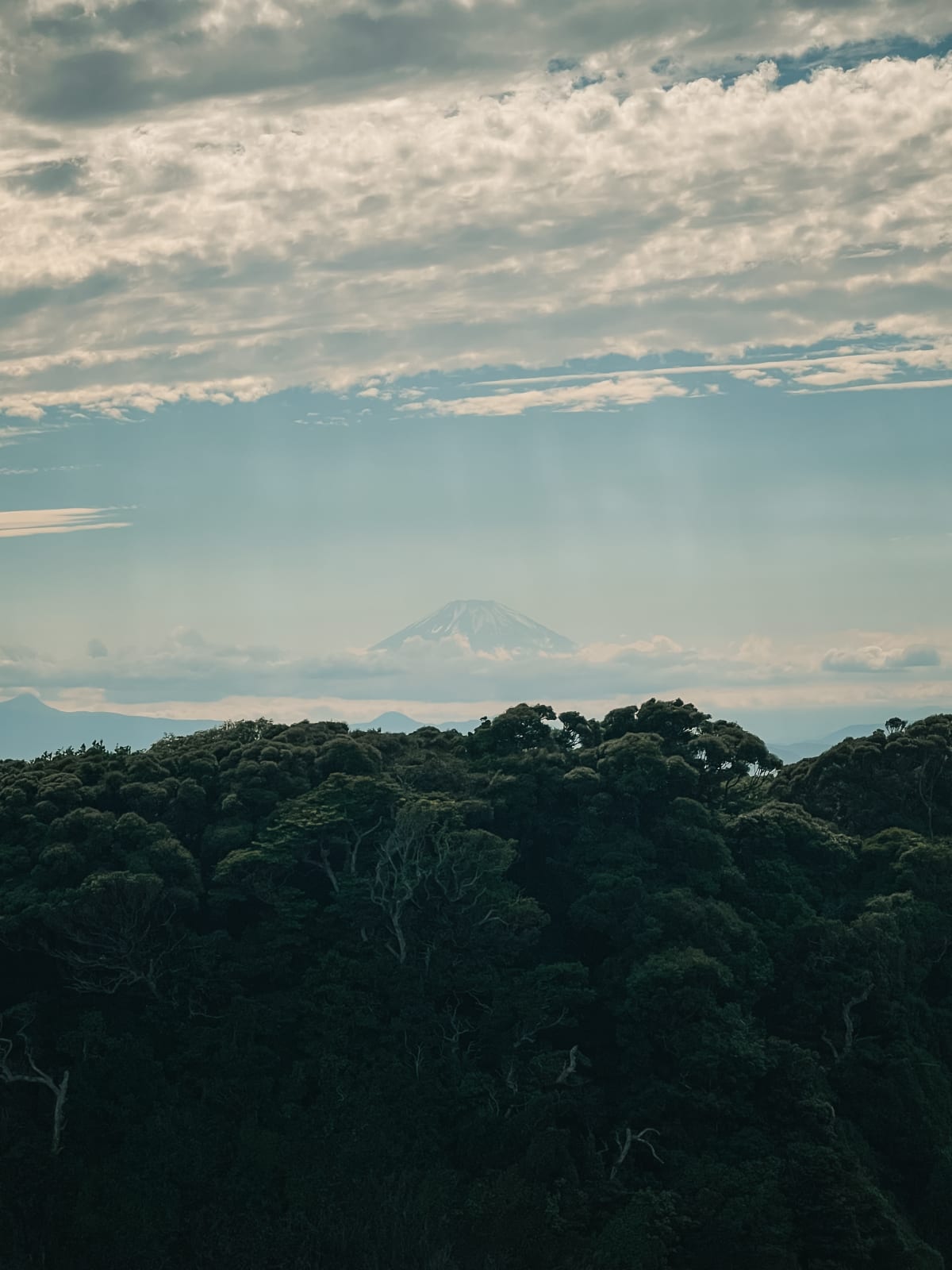 Snow-capped Mount Fuji looms over a dense, dark green forest and distant hazy mountains under a cloudy sky, Fujisawa, Japan.