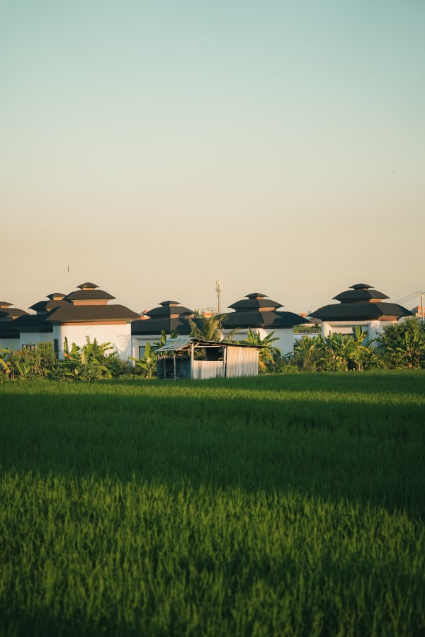 Bali rice field with traditional tiered roof villas and corrugated shed at golden hour, lush tropical plants, Indonesia.