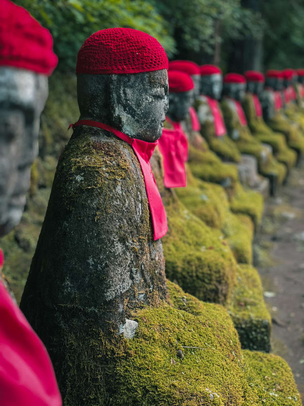 Row of moss-covered Jizo statues in Nikkō, Japan, wearing vibrant red knitted hats and bibs, nestled in a lush green forest.