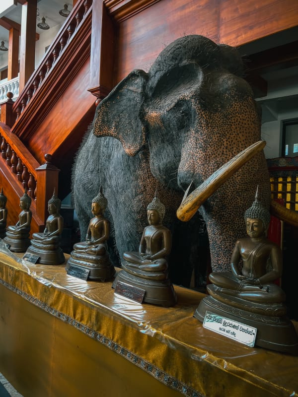 Sri Lanka travel photography by Luca Sammarco