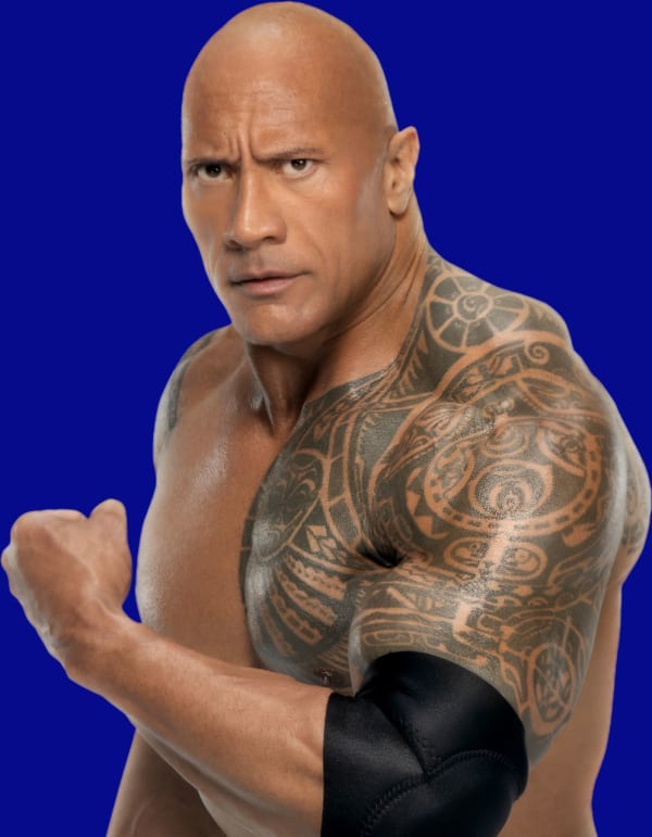 A dramatic photo of optical fibres