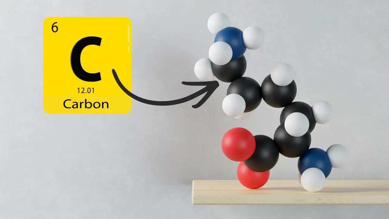 Copertina di Cosa studia la chimica organica?