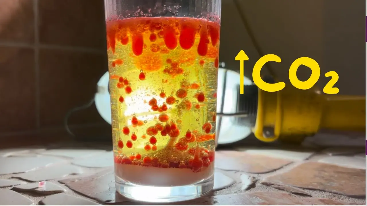 Copertina di La chimica della lava lamp fai-da-te