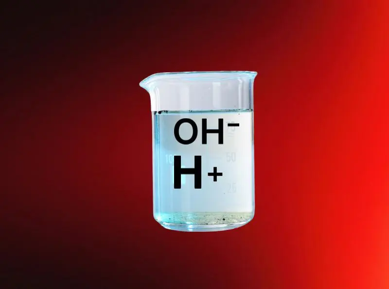 Copertina di Acidi e Basi: Cosa Sono, Come Funzionano e Cos'è il pH