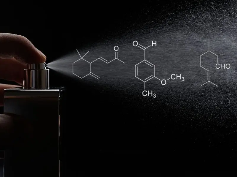 Copertina di La Chimica della Cosmesi: Classificazione e Storia