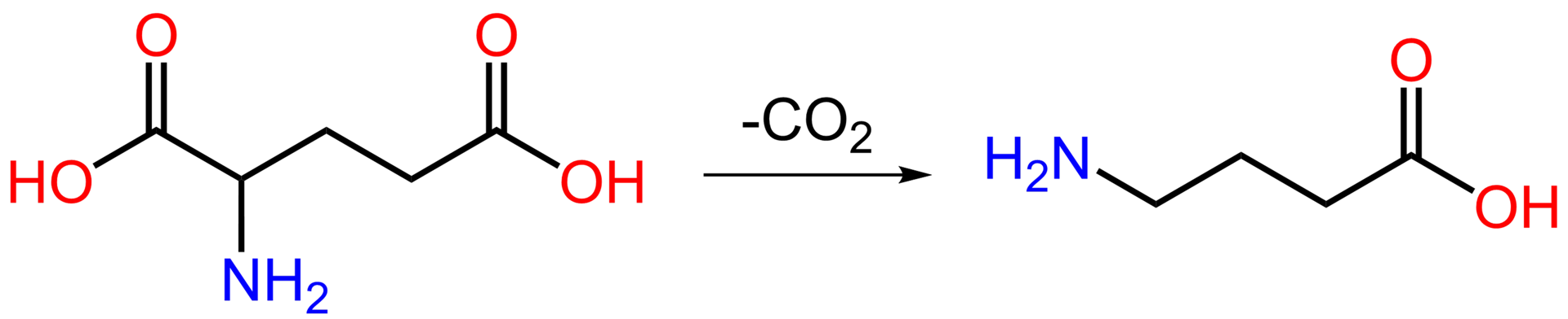acido amino gamma butirrico
