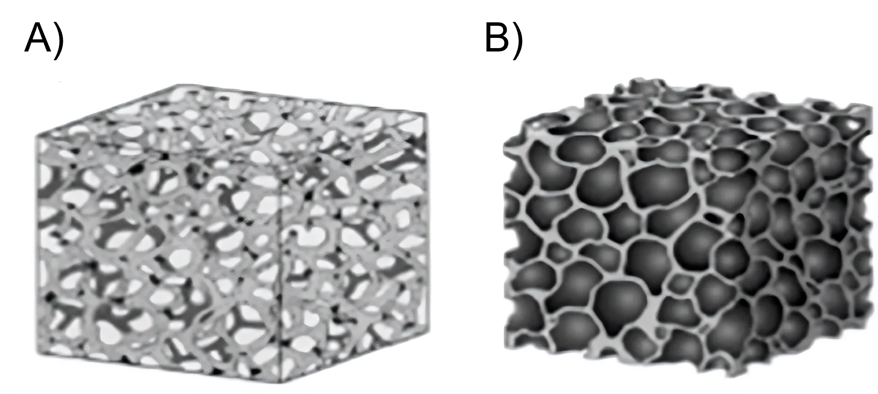 Rappresentazione di schiume a celle chiuse o aperte