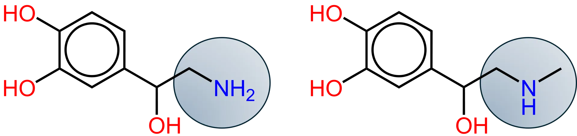 noradrenalina e adrenalina