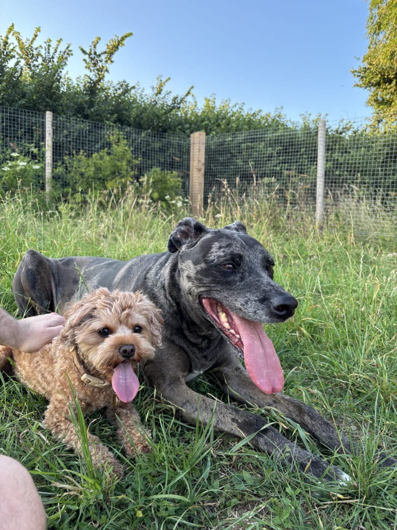 Besties
