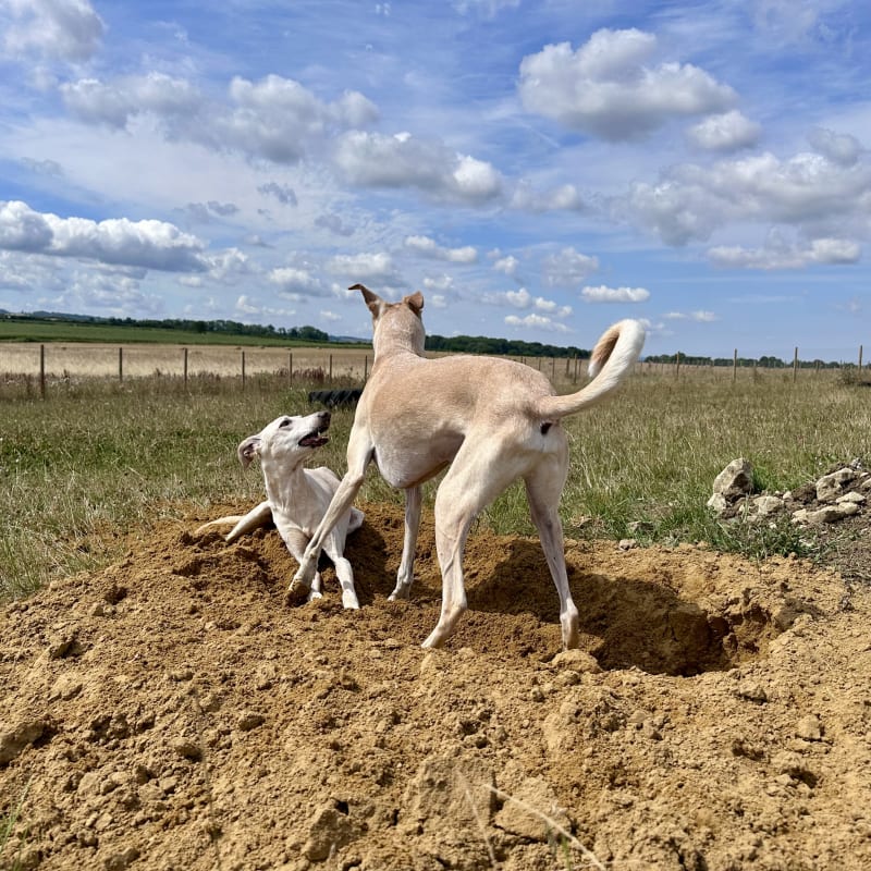 Sand Pit