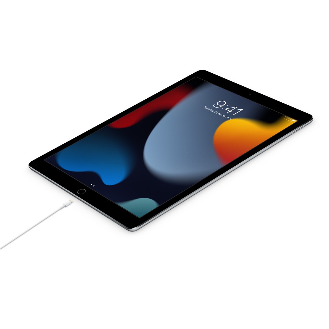 Apple Lightning to USB-C Cable