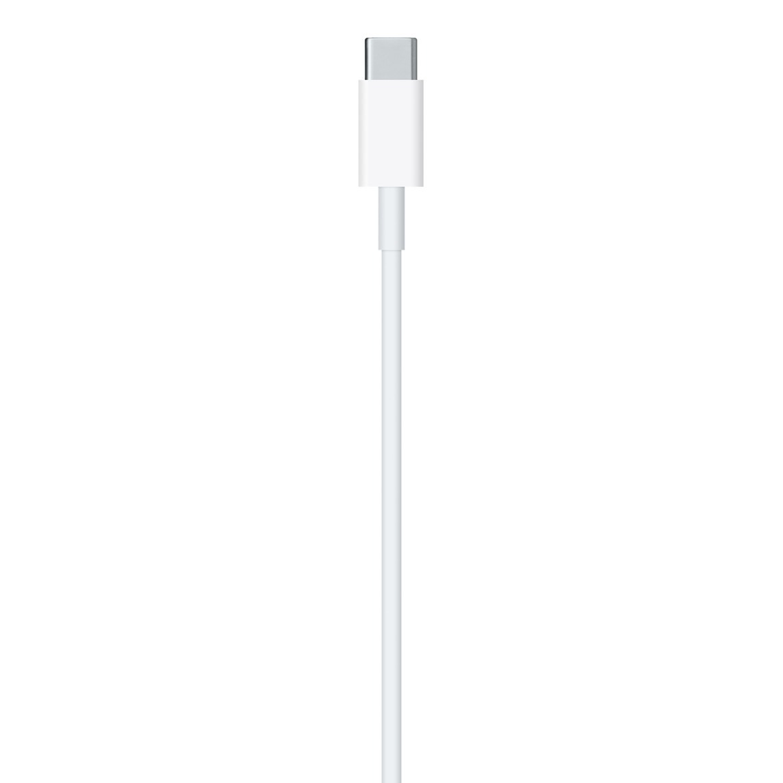 Apple Lightning to USB-C Cable