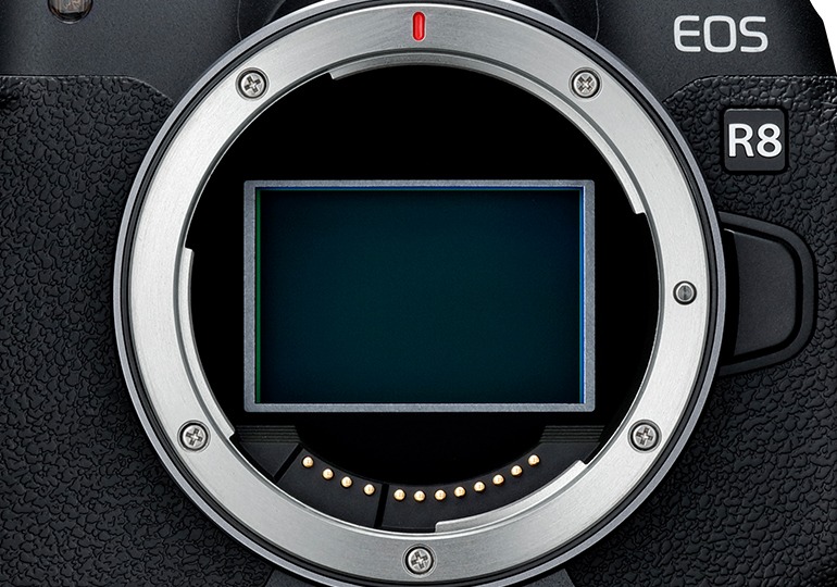 Canon EOS R8 Mirrorless Camera