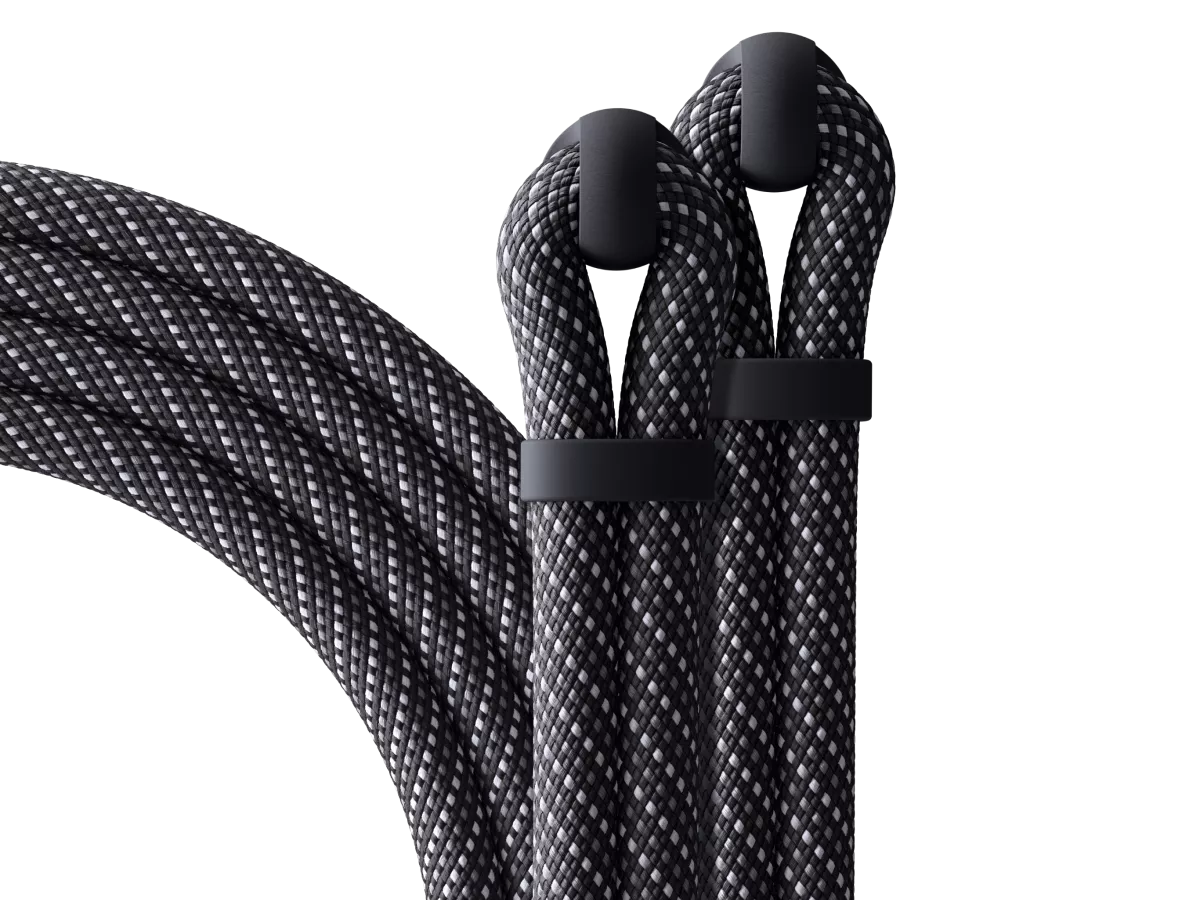 Bose SoundLink Max Speaker