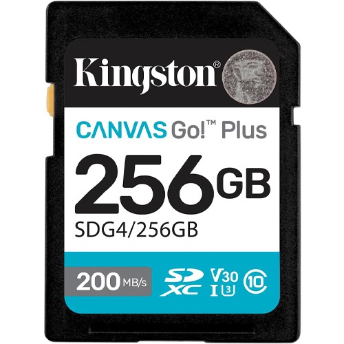Kingston Canvas Go! Plus 256GB SD Card