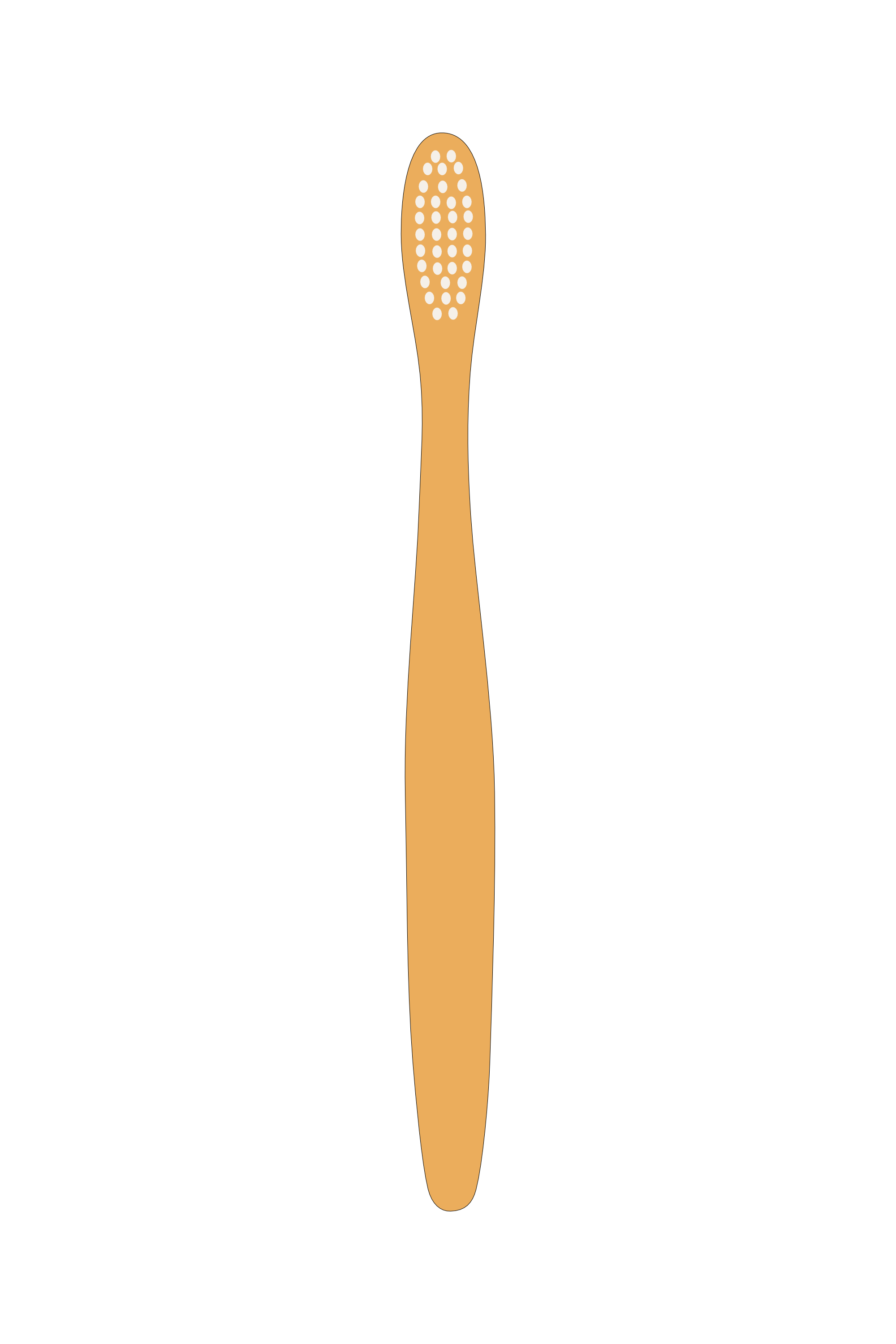 Normal Shape