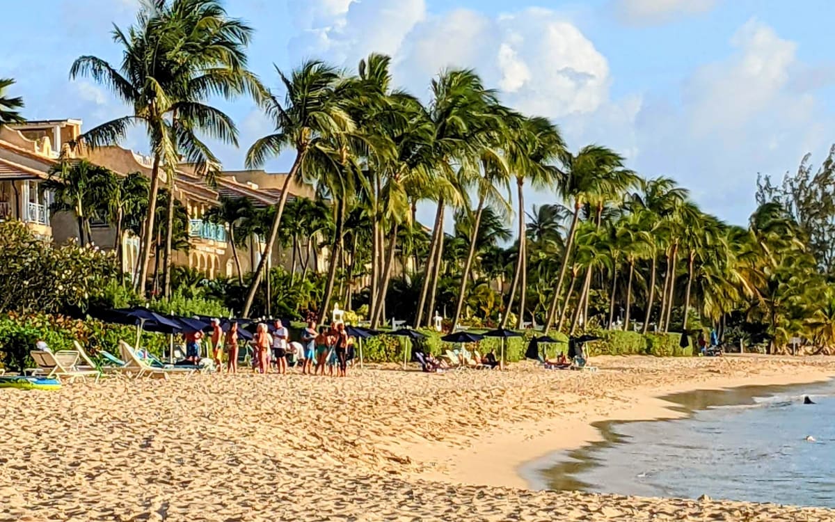 The northern end of Heywoods Beach behind Port St. Charles, showing the sandy shoreline, palm trees and calm west-coast water.