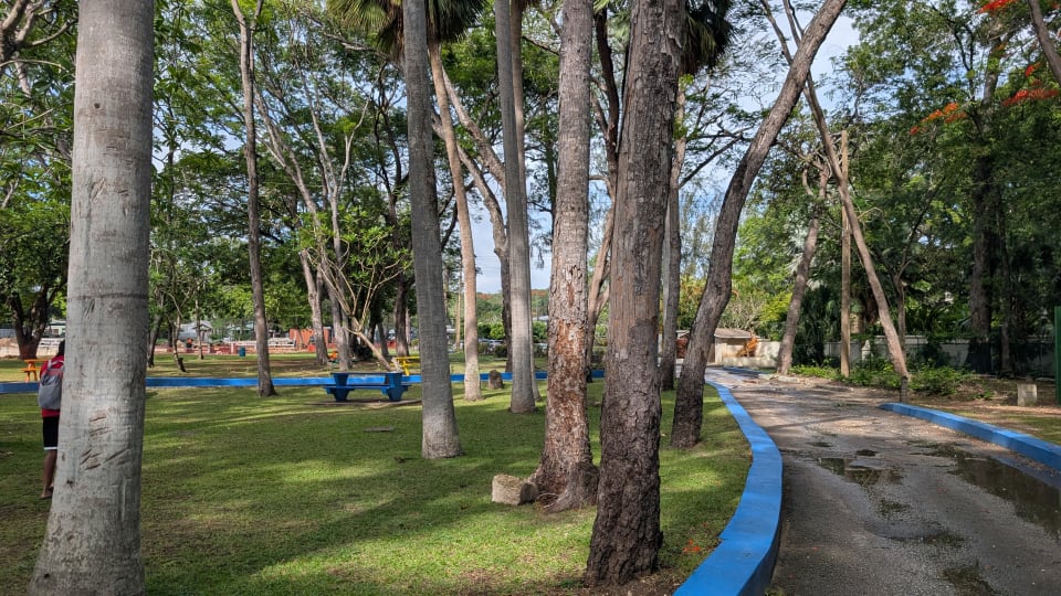 Tree-lined entrance driveway with blue-painted curbs leading into Folkestone Beach in St. James, Barbados.