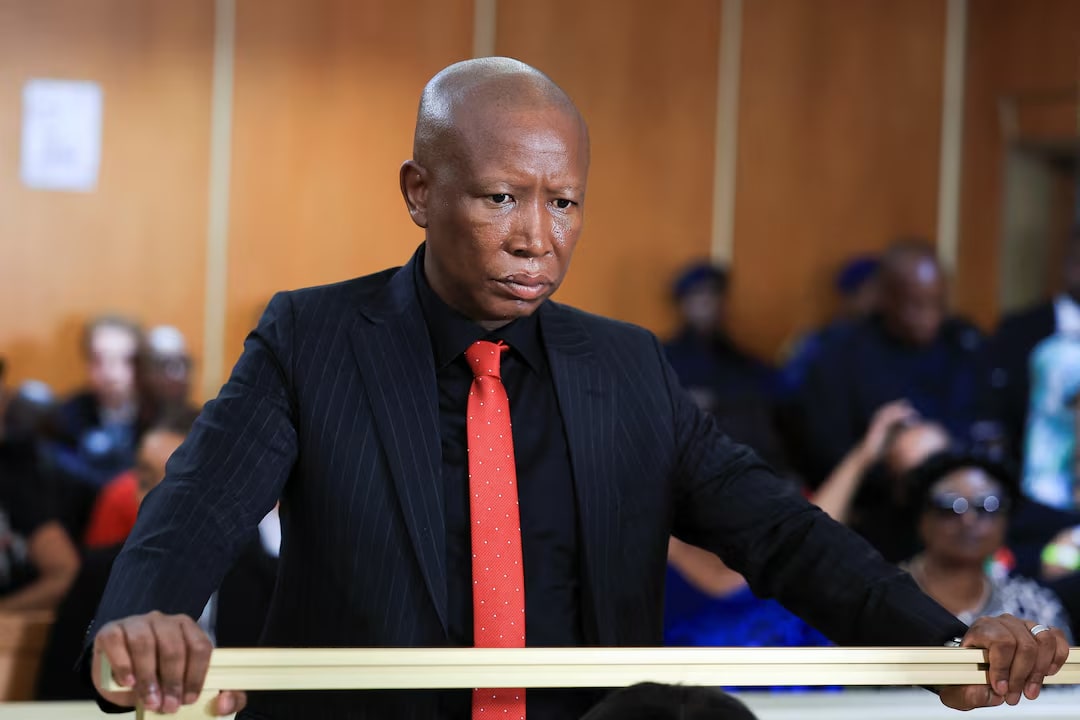 Julius Malema Sentenced to Five Years Over Firearm Conviction