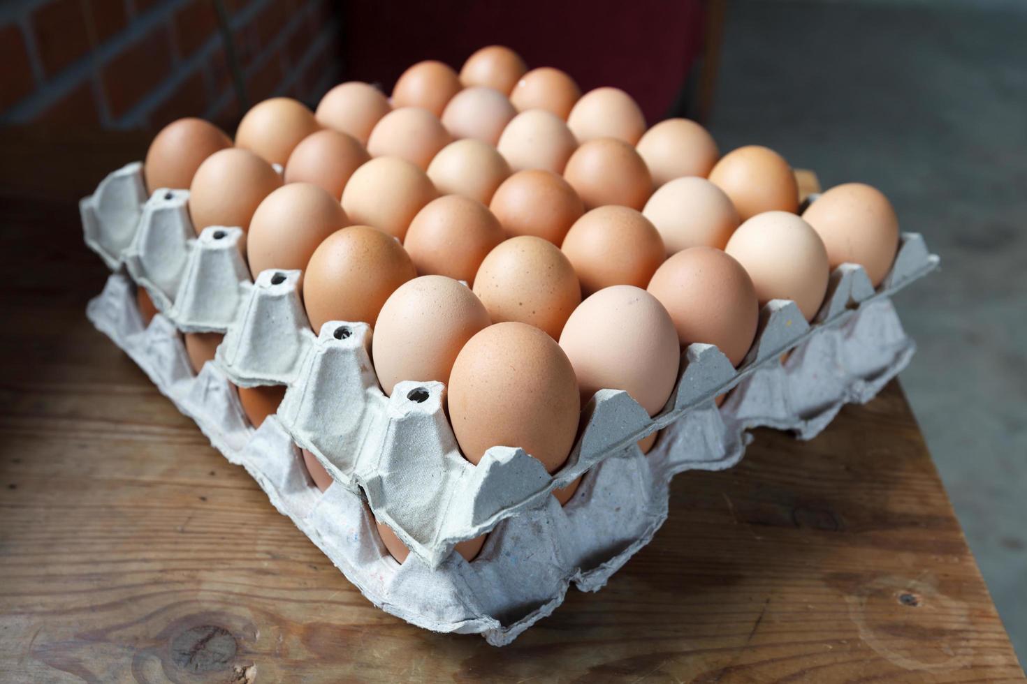 Ghana Explores Egg Powder Production to Tackle Poultry Sector Gluts
