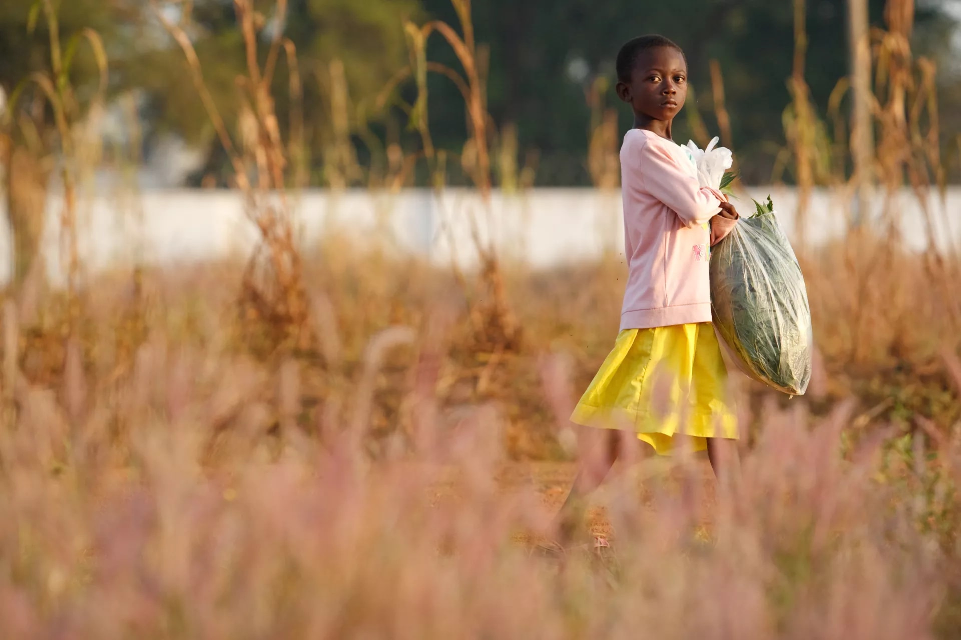Government Rescues 28 Human Trafficking Victims from Côte d’Ivoire